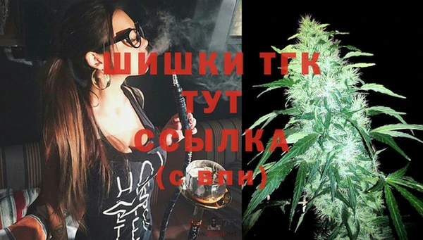 гидропоника Бородино