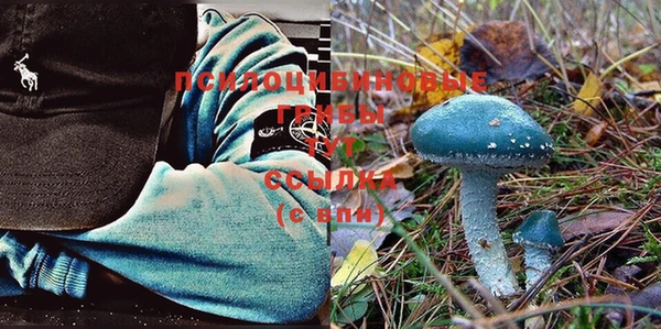 герыч Бронницы