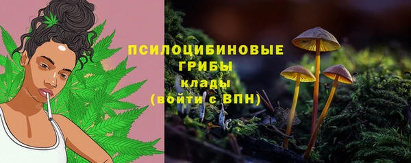 бутират Богородск