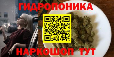 МДПВ Тула