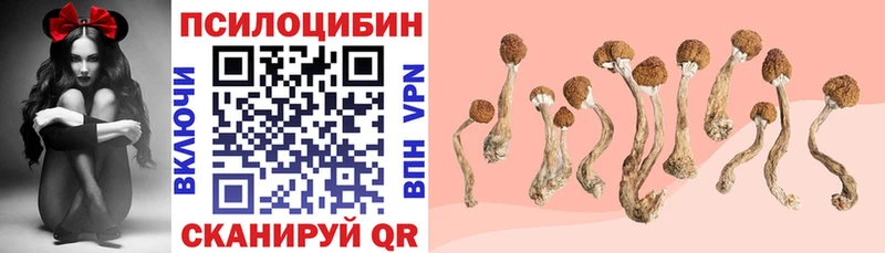 Псилоцибиновые грибы Psilocybe Рыбинск