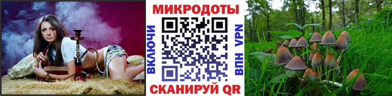 Псилоцибиновые грибы мицелий  наркота  Рыбинск 